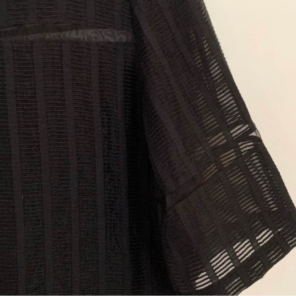 Anthropologie Black Sheer Stripe Boxy Blouse - Picture 4 of 9